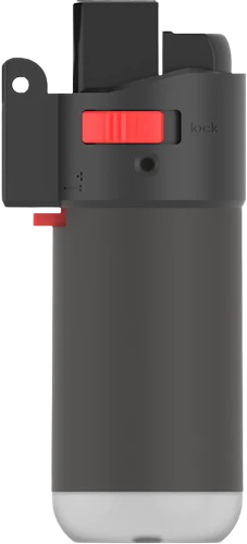 Body