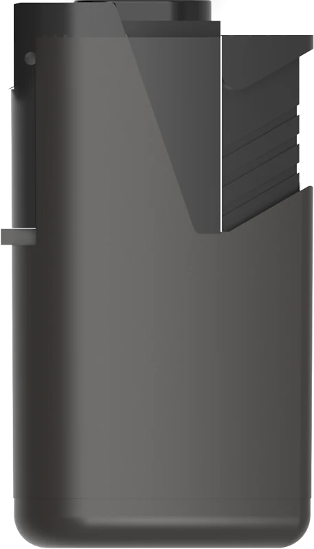 Body